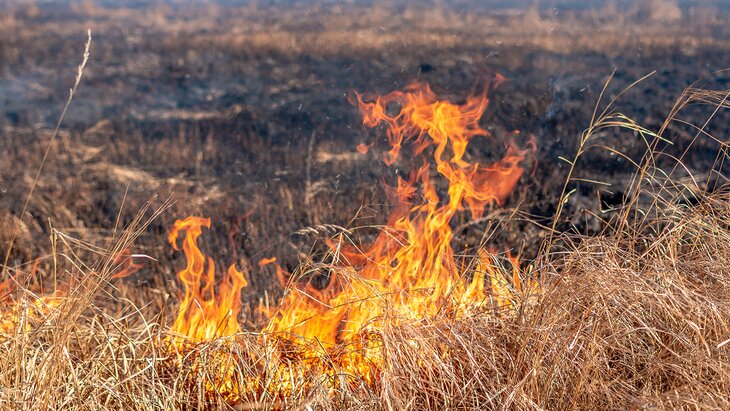 ��� ������������ � ������� ����� ������� � ������ � 30 ���