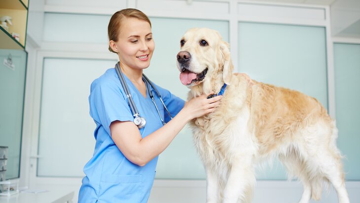 ��������� ������ ������������ ������ ������ ��������� ��������� �� ���������