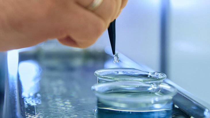 ���������� ������������� ������ ���������� ������ ������������ ����� � ����