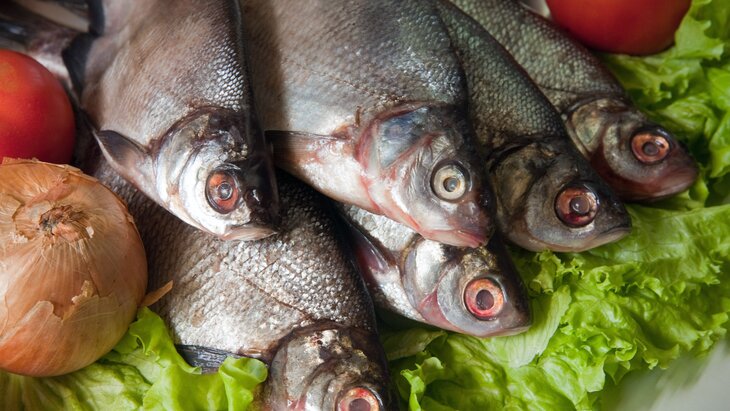 ��������� ���������, � ����� ���� ���� ���������� ��������