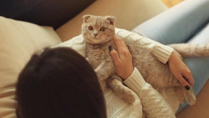 �������� ������� ����������� �������� ��������� ��������