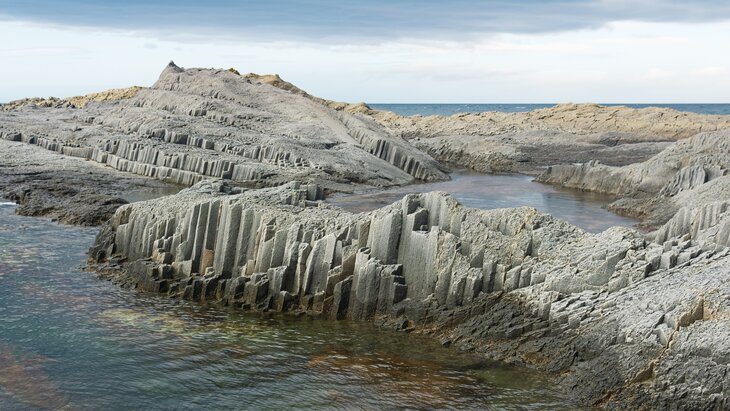 ������������� ����� 4,9 ����� ������������� ����� ����� �����