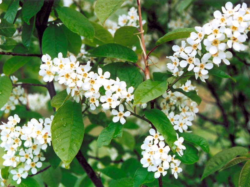 �������� ������ ������� ������ ������ ������ � ����������� ������� 24�