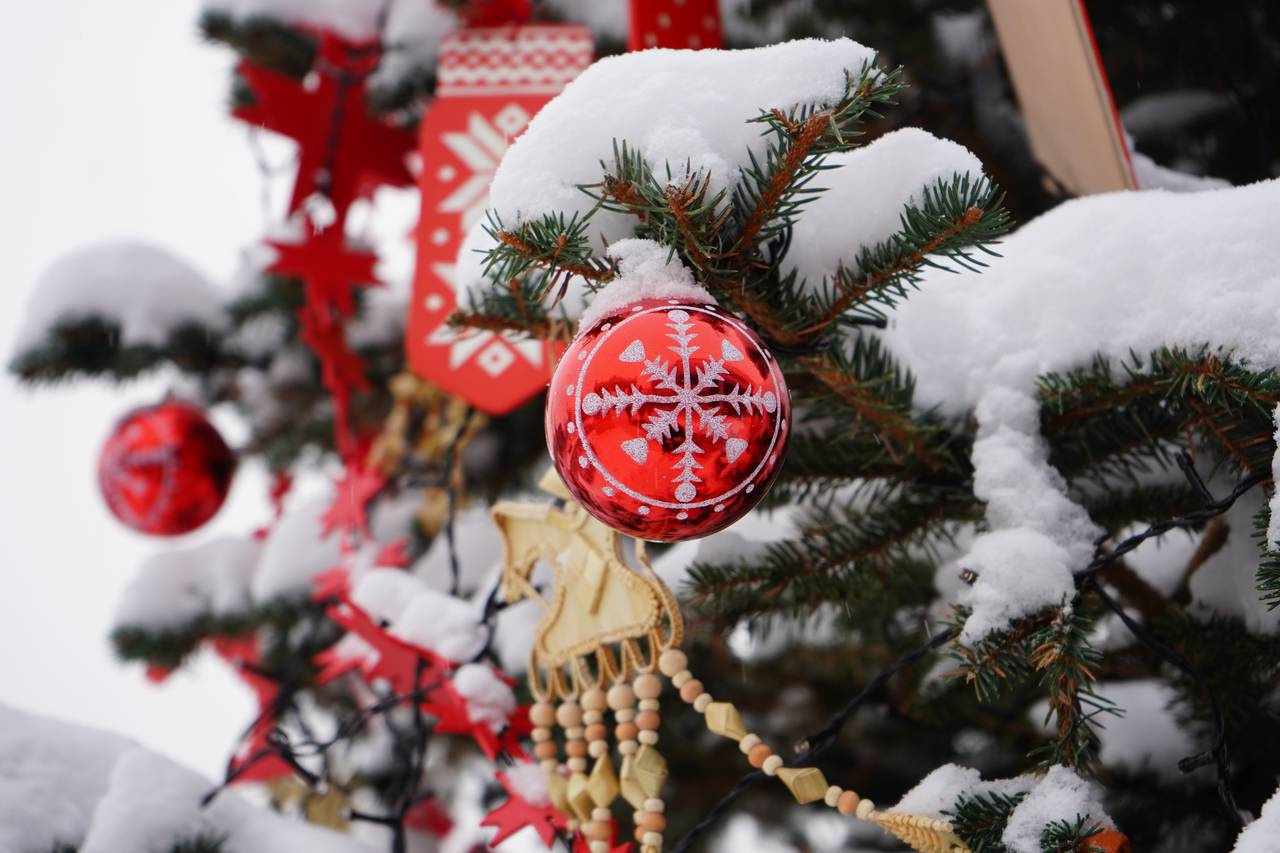 ���������� ������-����� �������� � �� "������"