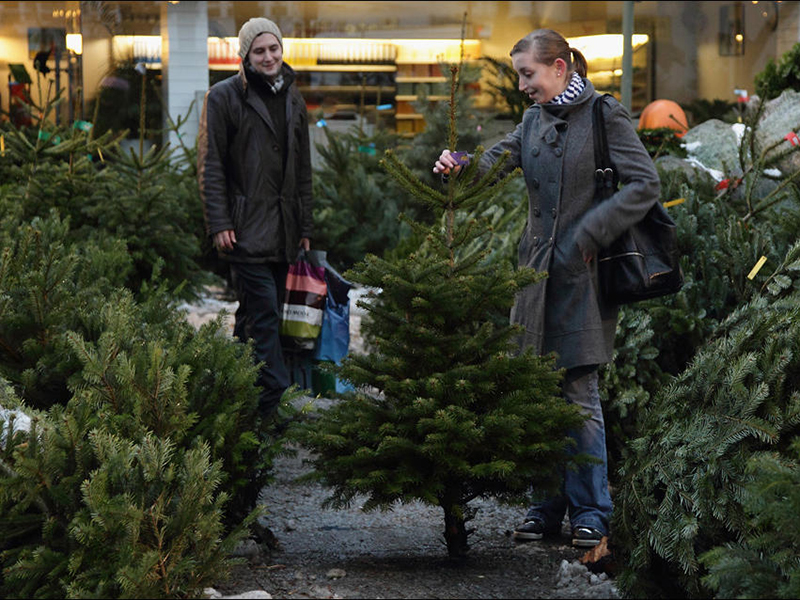 ���������� ������� ������ ��������� � ������ 20 �������