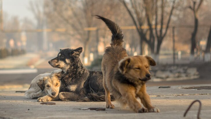 �� �������� ���������� � ��������� ����� �� ������� � ������������ �������