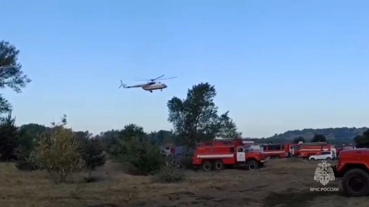 ������� ������ � ����������� � ���������� ������� �������� 117 ��