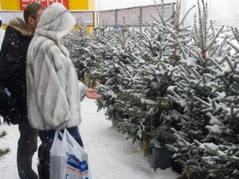 � ��� ��������� 16 ������� �������