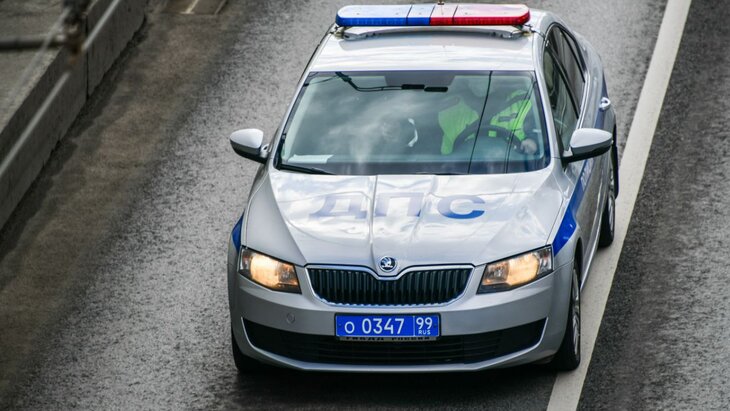 ���� ����������� ����������� �� 44-� ��������� ����