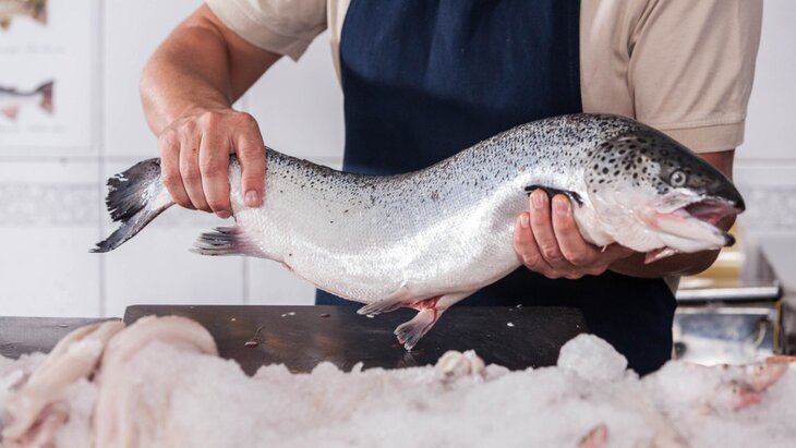 ������ ���� ���������, ����� ���� ��������� ����� ������������ ������