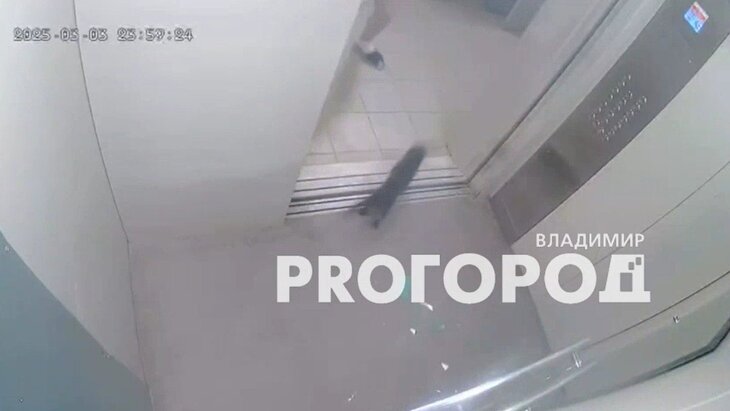 ������� �� ��������� ���� �������, ������� ������ ������ ������� �����