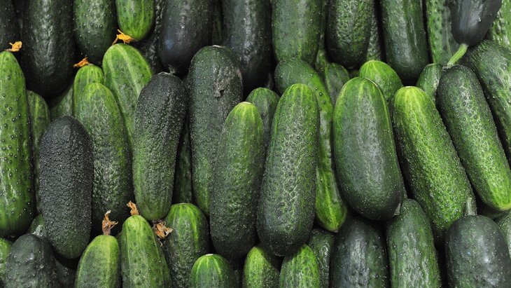 ������ ������ ����� ������ ����� ������� � 400 ����������� �������