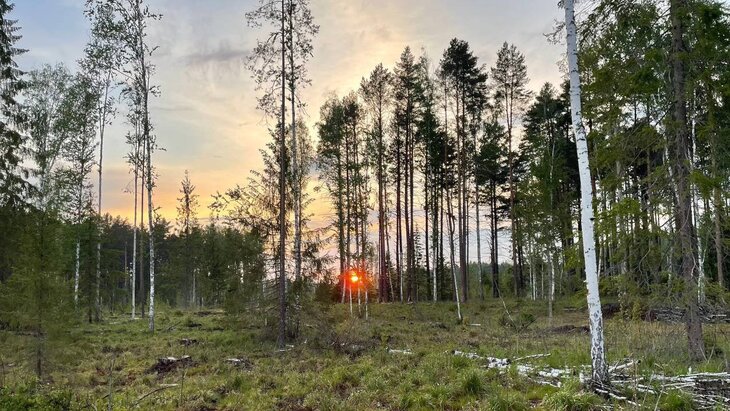 ����������� �� ������ ������ �� ������ ��������� � ������������ ������� �����