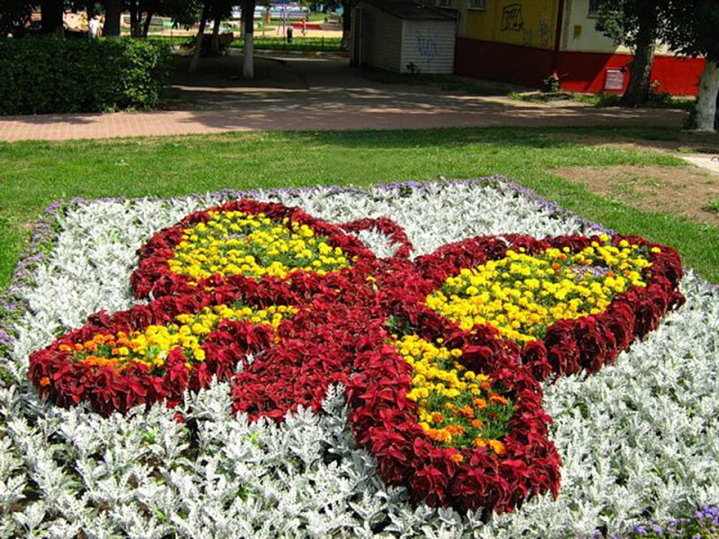 ��������� ������ � ������������ �������