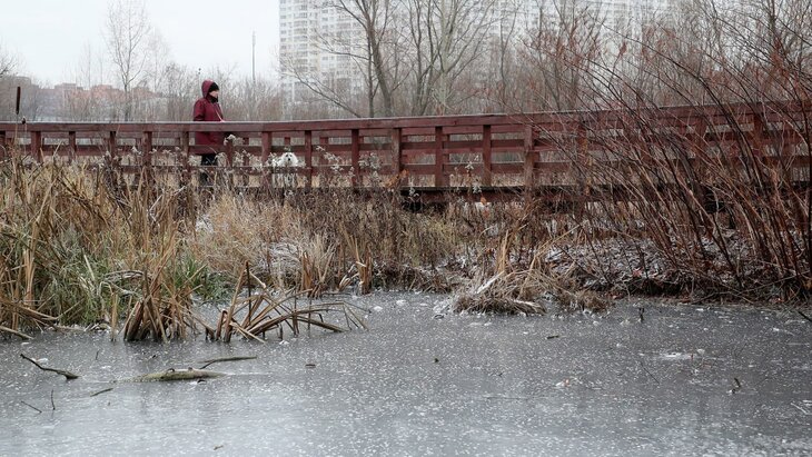 ��������� ������������, ��� ��� �� �������� ����������� ���� �� ����� � ������