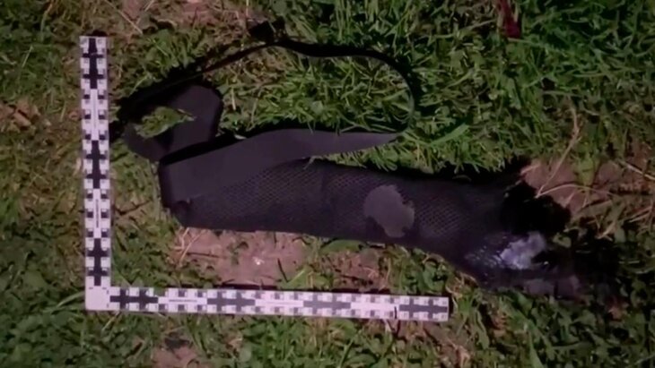 ����������� �������� ������� ��������� ��� ������ � ����������