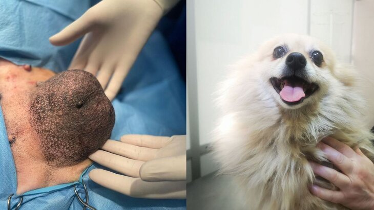 ���������� ����������� ������ �����, ����� 8 ��� ������� � �������� ������� ������