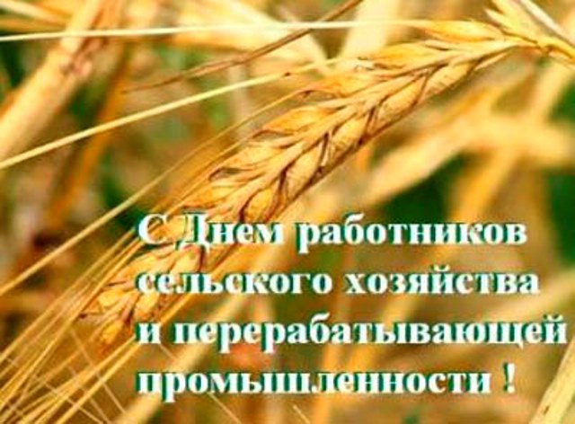 11 ������� 2015 ���� � ����������� ������ �������� ���� ��������� ��������� ��������� � ���������������� �������������� 