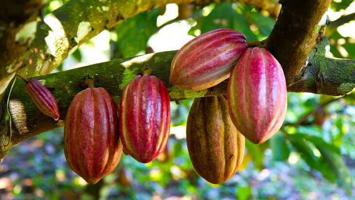 ������������� �������� ������ ������������ �� ����� ��-�� ����� ��� � ���