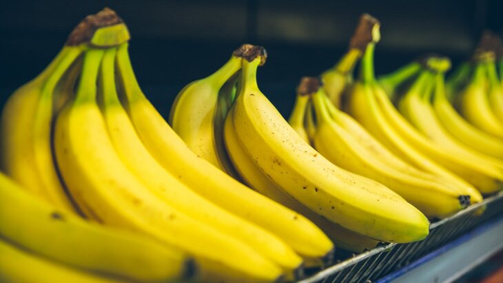 ������ ����� � �������� �������������������� ��������� ������