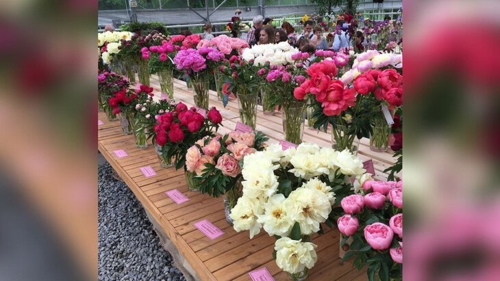 ��������� ������ � ������ �������� � "����������� �������" � 6 ����