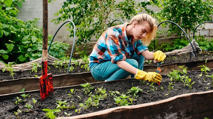 ������ ������������� ��������� ������� �� ������ �� ����