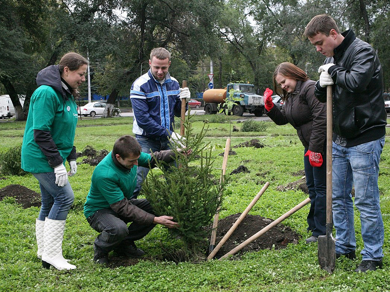 � ��� �������� ����� �������� ��������