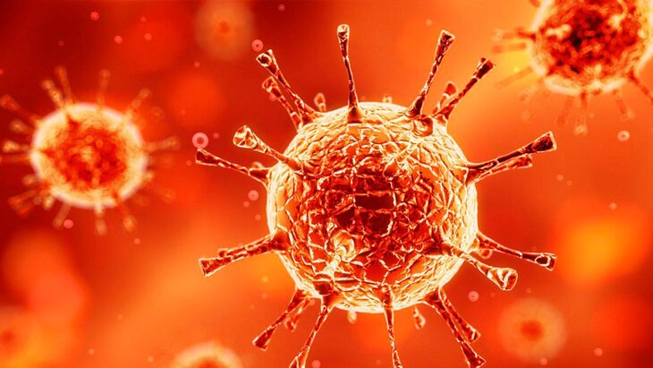 ������ ��������, ��� �������� �������� ���� �������� ���������� ����� IDO1