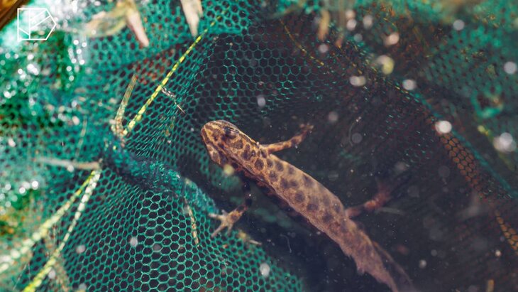 ������� ������� ���������� � ���������� �������