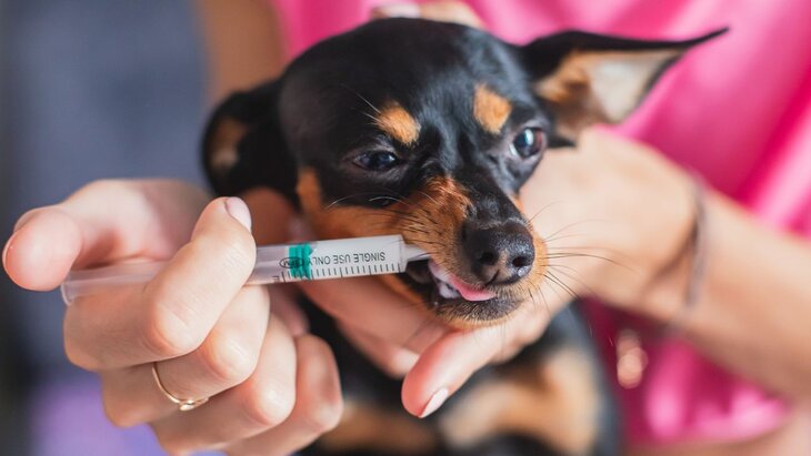 � �� ���������� ��������� ������� ����������� � �������