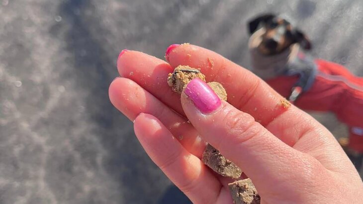 ������ ������ ������������ �� �����������, �������������� ���� � ������� ��������