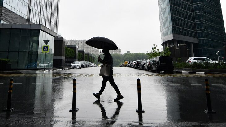 ��������� ������������ � �������� "�������" �� ����� ������