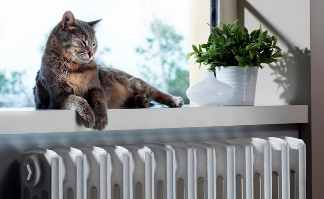 ���� �������: ��� ������ ������������� ����� ����� �������� �������� �� ��������� �������� Vaillant