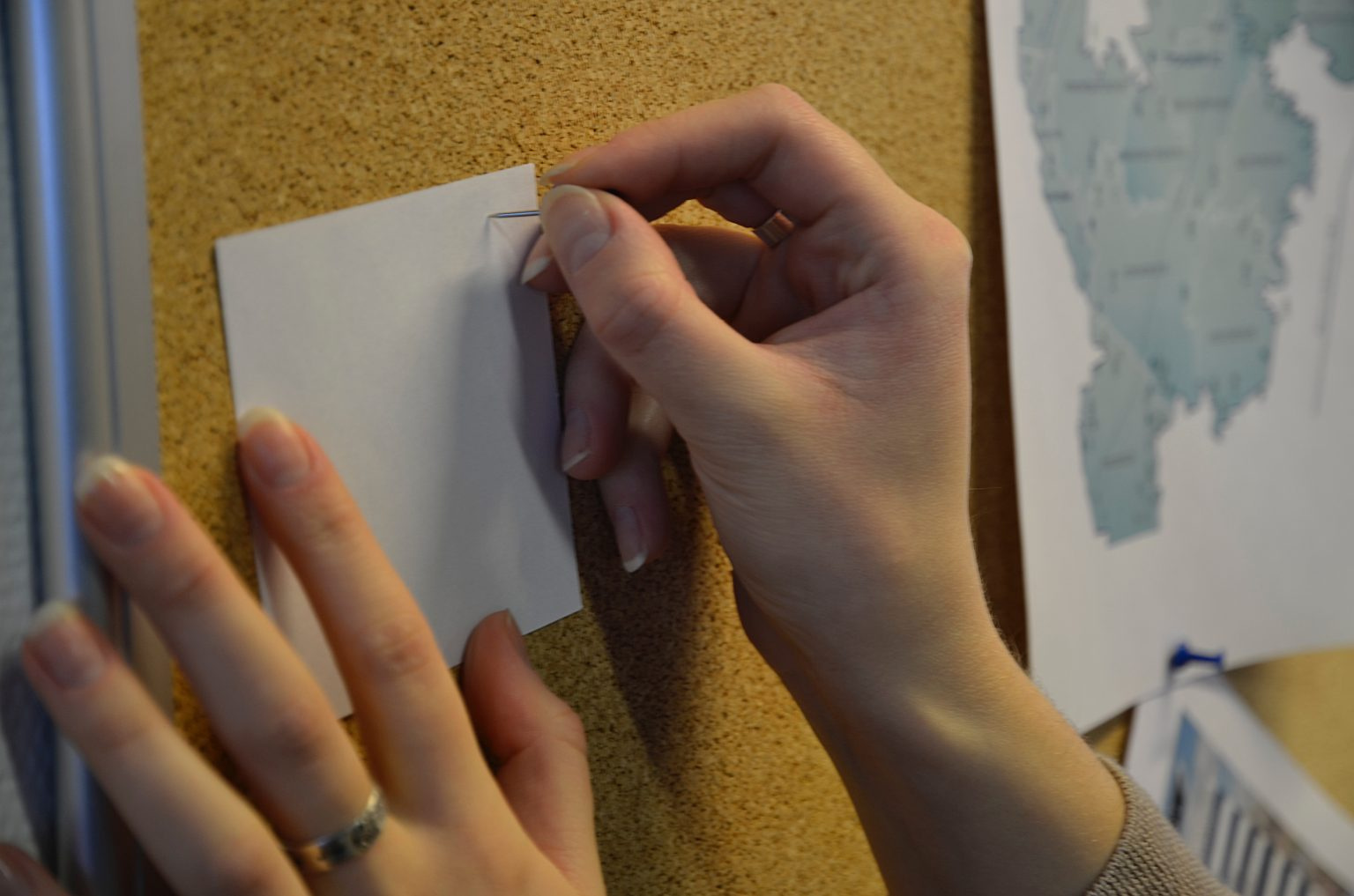 � �� "��������" ������ ��������� "220 ����"