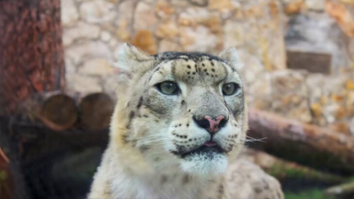 ������� ���������, ��� ������� ����� ����������� �������� ��������� � ����� ������