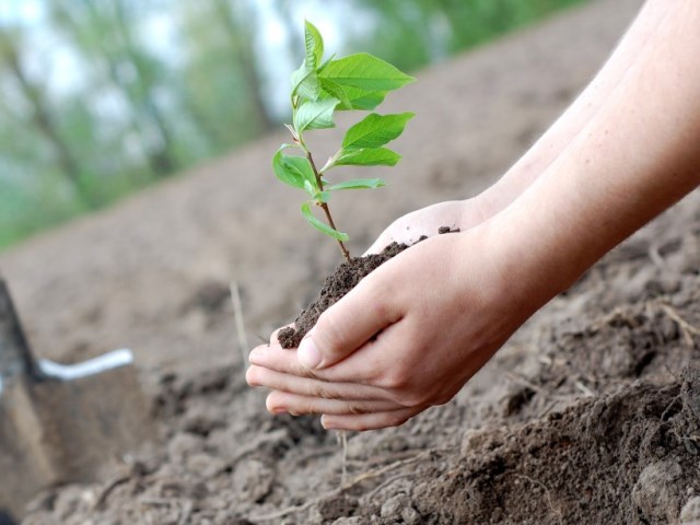 � ������ ���������� ���������� ���������� �� ��������� ���� �����