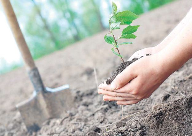 ������� �����������: ����������� ��������