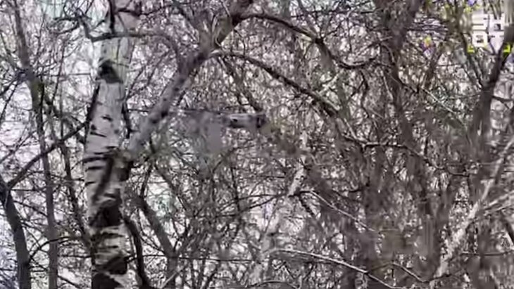 � ������ �� �������� � ������� ����� �������� �������� �������� �����