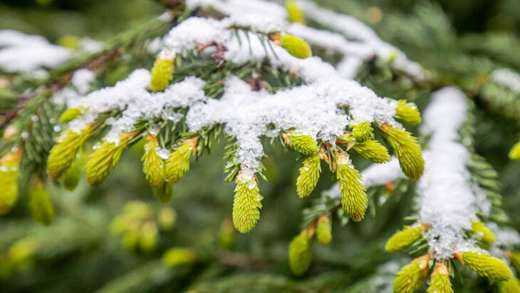 ���������� �� ��������� ������ ����� �� ������������ �������� ��-�� ����������