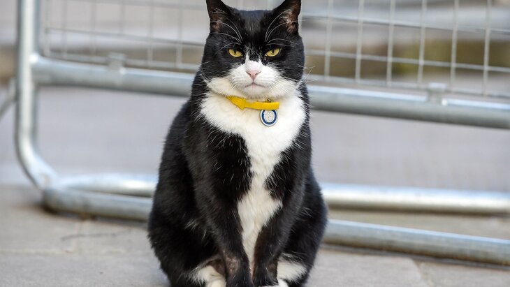 ���������� � ��� �������������� ��� ���������� �������� �� ������� � ���