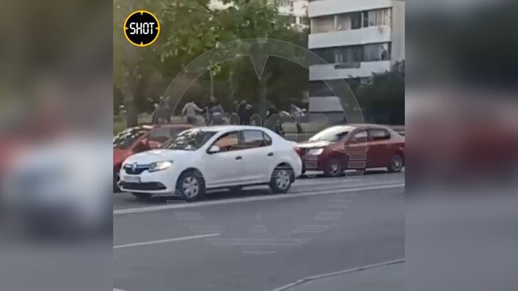 �������� ��������� �� ��� ������