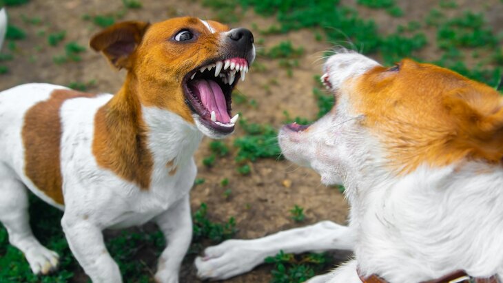 � ����������� ������� ���������� �������������� ����� ��-�� ������ ���������