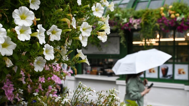 ��������� ��������� "������ �����" 21 ���