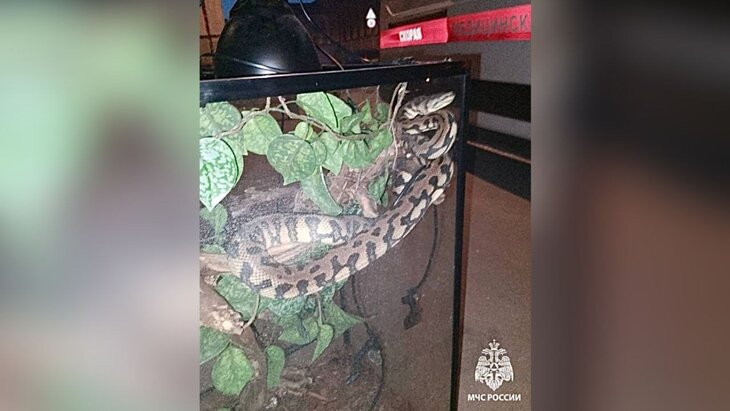 �������� ������ ������ �� ����� ���������� ������ �� ������� ������