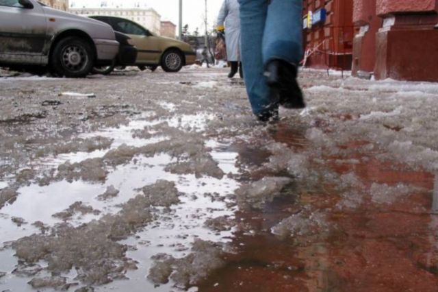 ������ � ����������