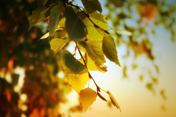 25 �������� 2015 ���� � ������ ��� ����� ������������� ������. ������� ���������� �������� �� +27 ��������!