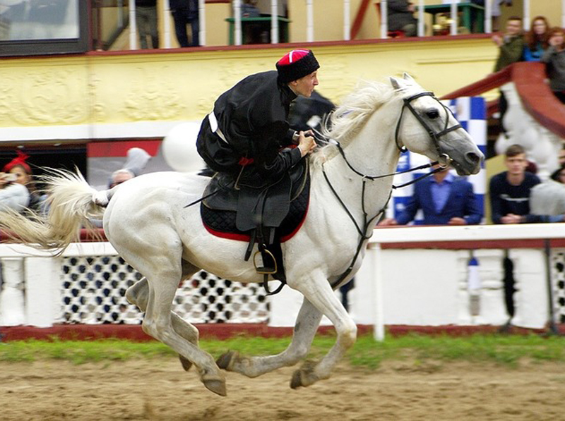 �� ����������� ���������� ��������� ������ ���� � ������ "���� ������� � ������"