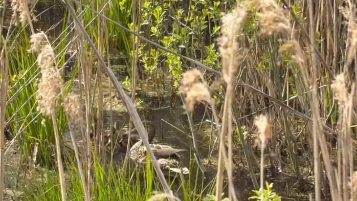 ������ � "������� �������" ������ �������� ���������