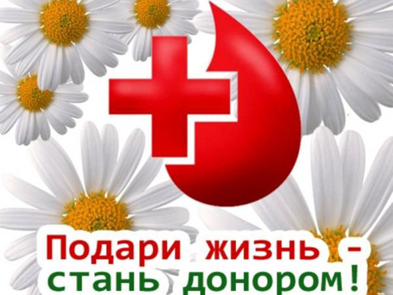 ���� ������: ������ ������ ������ ���-�� �����