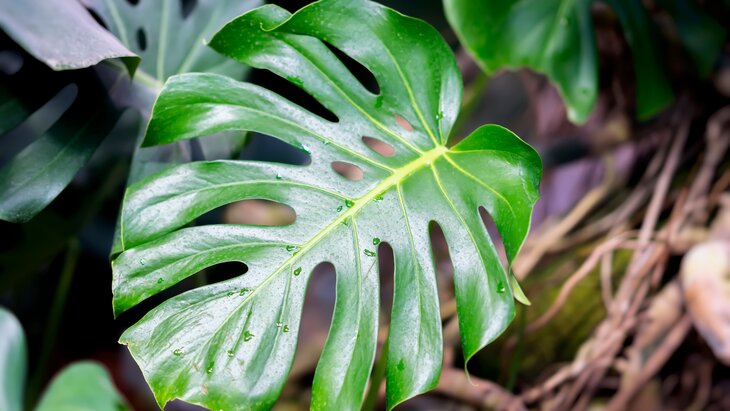 ������� ���������� � ������ ������� � ������ ��� ��������